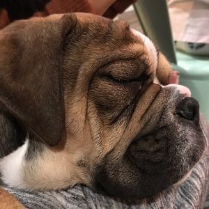 Meet your Posher, Nick